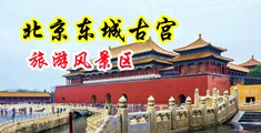 豪乳骚B中国北京-东城古宫旅游风景区